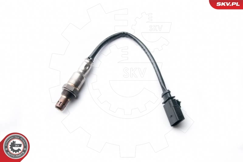 Oxygen Sensor